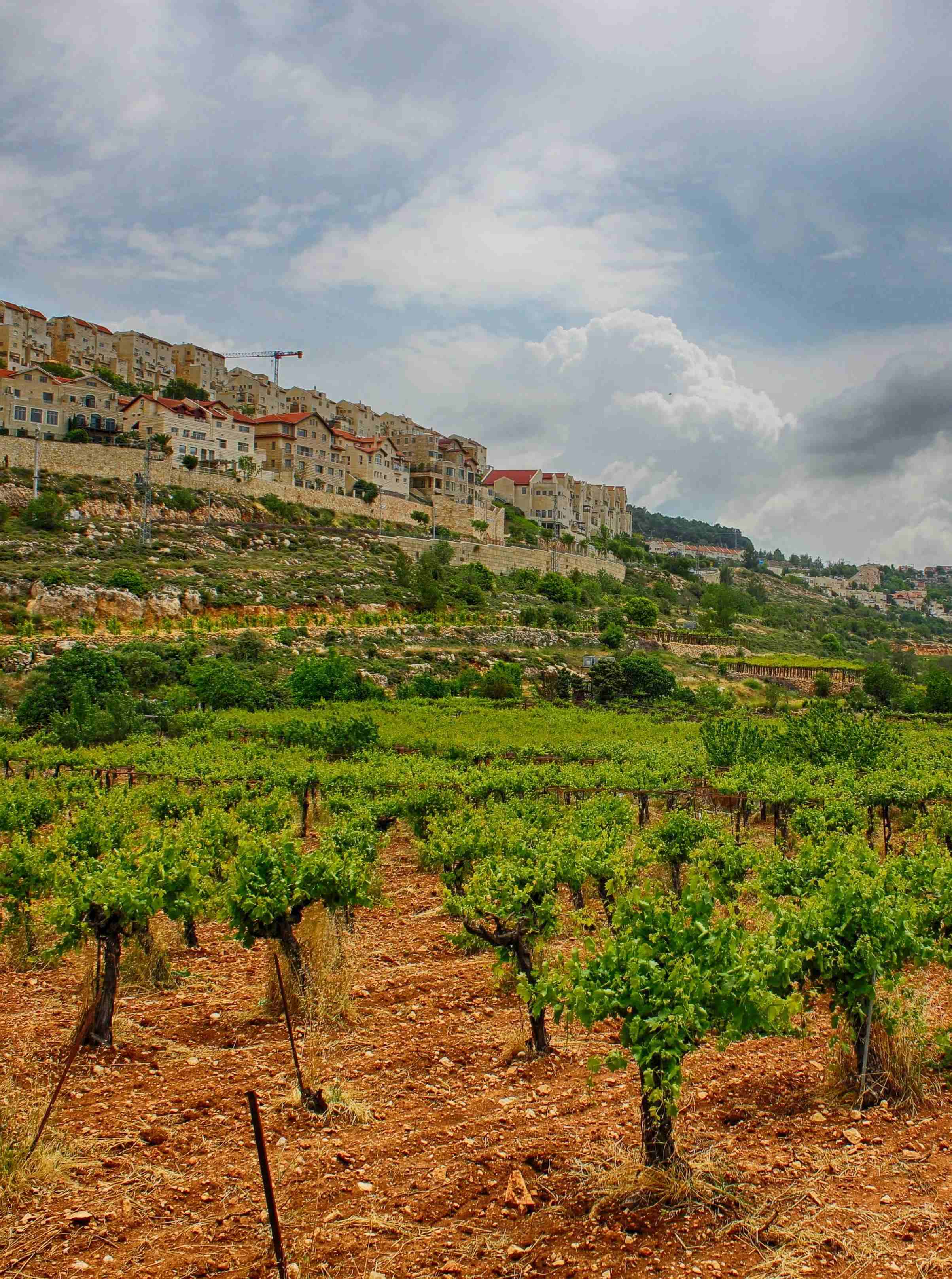 Efrat 