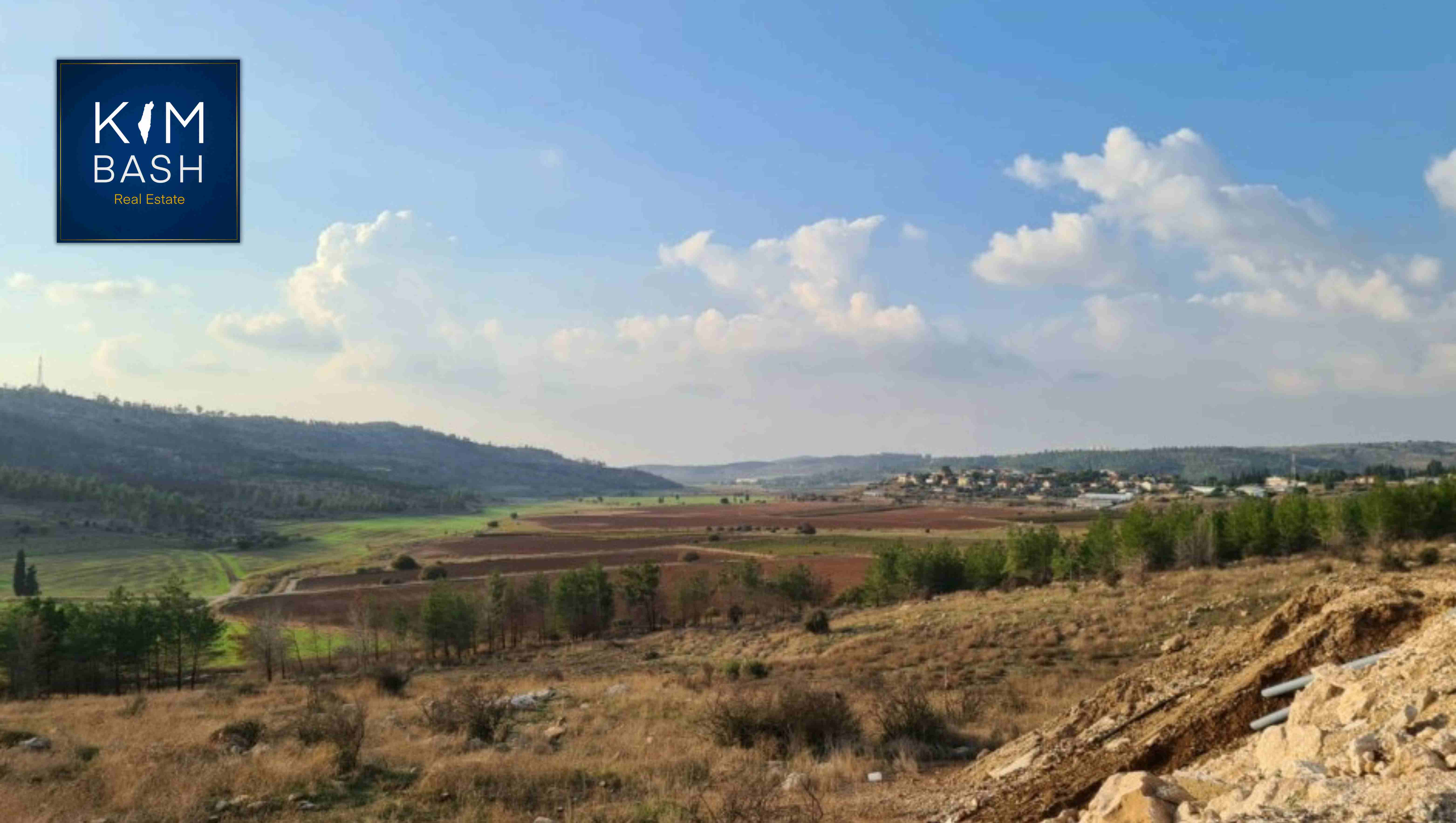 katamon san simon